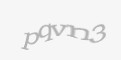 Защитный код