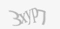 Защитный код