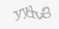 Защитный код