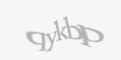 Защитный код