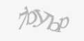 Защитный код