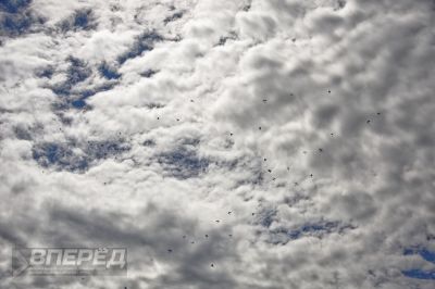 90 лет ВДВ в парке «Патриот»_142