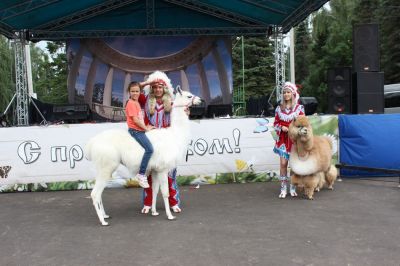 День Краснозаводска 2018_12