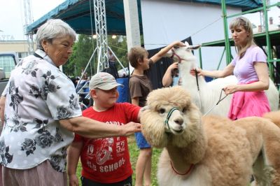День Краснозаводска 2018_17