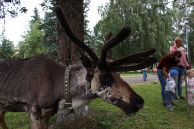 День Краснозаводска 2018_8