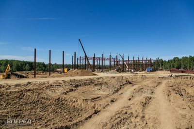 Полигон в Сахарово. Июнь-2019_16