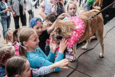 «Потеряшкам» — пять_2