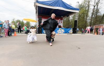 «Потеряшкам» — пять_7