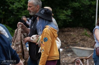 «Том Сойер» на Вифанской