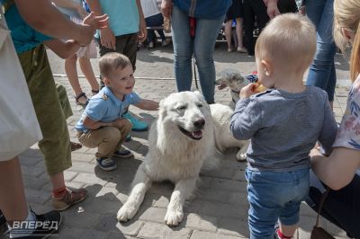 «СИДИ» и «Время надежды» у ДК_49