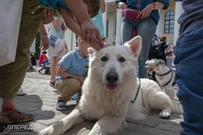 «СИДИ» и «Время надежды» у ДК_50
