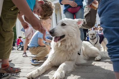 «СИДИ» и «Время надежды» у ДК_51