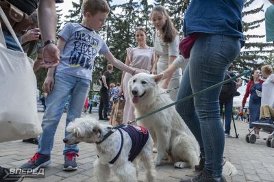 «СИДИ» и «Время надежды» у ДК_53