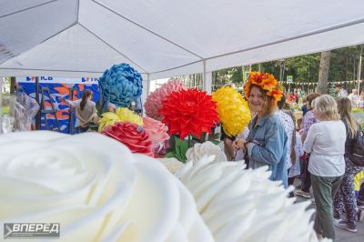 День Района. 100 лет_29