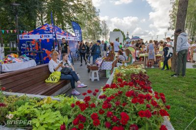 День Района. 100 лет_30