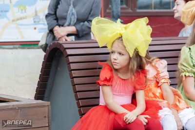 День Района. 100 лет_55