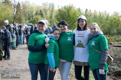 Наш лес 2019_10