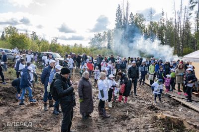 Наш лес 2019_13