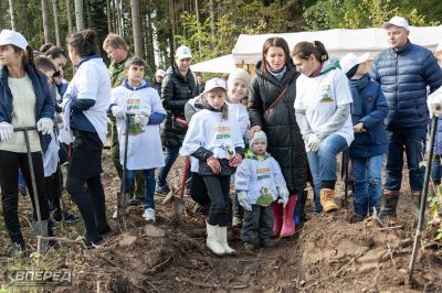 Наш лес 2019_14