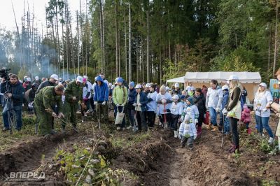 Наш лес 2019_16