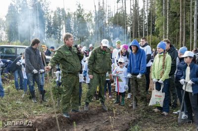 Наш лес 2019_17