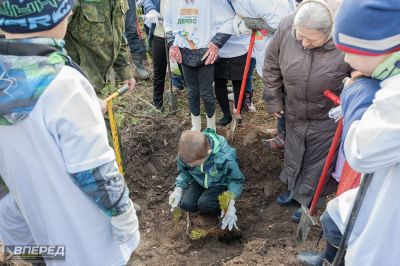 Наш лес 2019_18