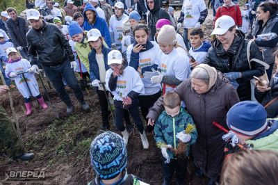 Наш лес 2019_19