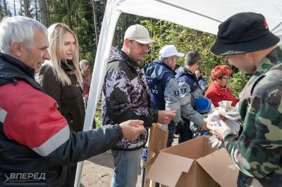 Наш лес 2019_1