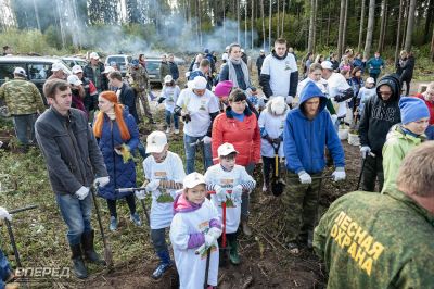 Наш лес 2019_20