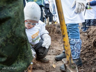 Наш лес 2019_21