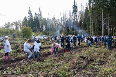 Наш лес 2019_22