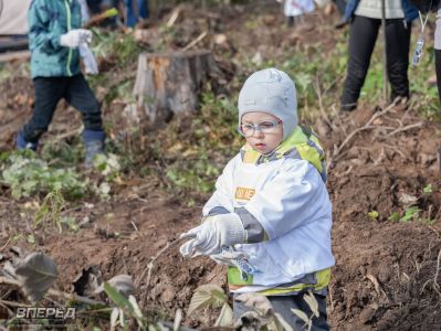 Наш лес 2019_23