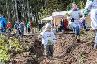 Наш лес 2019_24