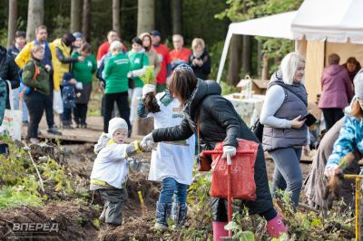 Наш лес 2019_26