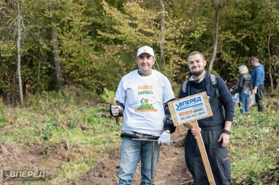 Наш лес 2019_27