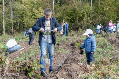 Наш лес 2019_29