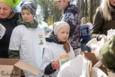 Наш лес 2019_2