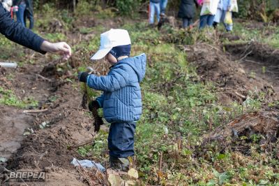 Наш лес 2019_30