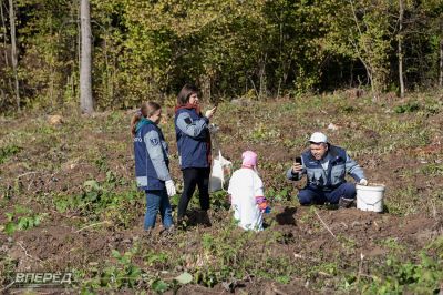 Наш лес 2019_31