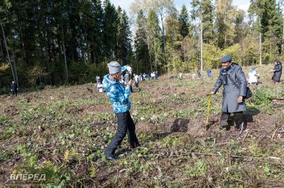 Наш лес 2019_32