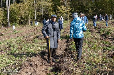 Наш лес 2019_33