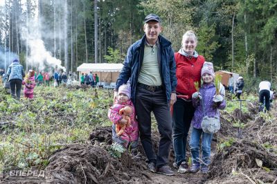 Наш лес 2019_35