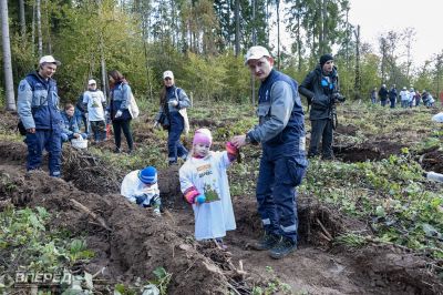 Наш лес 2019_37