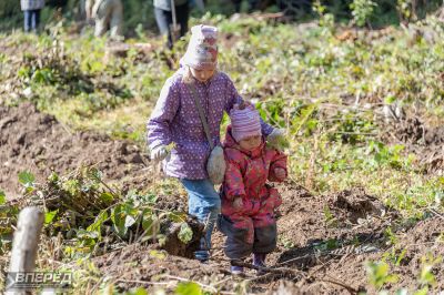 Наш лес 2019_39