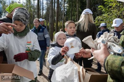 Наш лес 2019_3