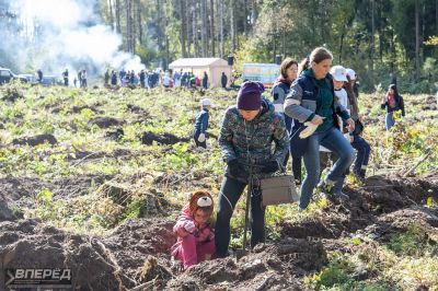 Наш лес 2019_40