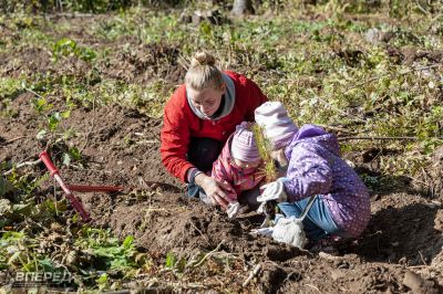 Наш лес 2019_41
