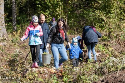 Наш лес 2019_44