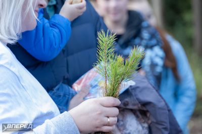 Наш лес 2019_46