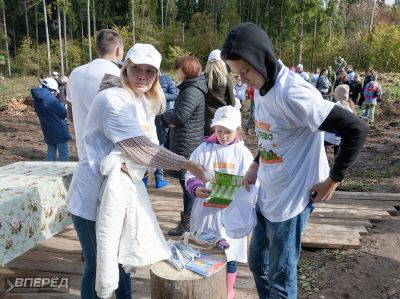 Наш лес 2019_4